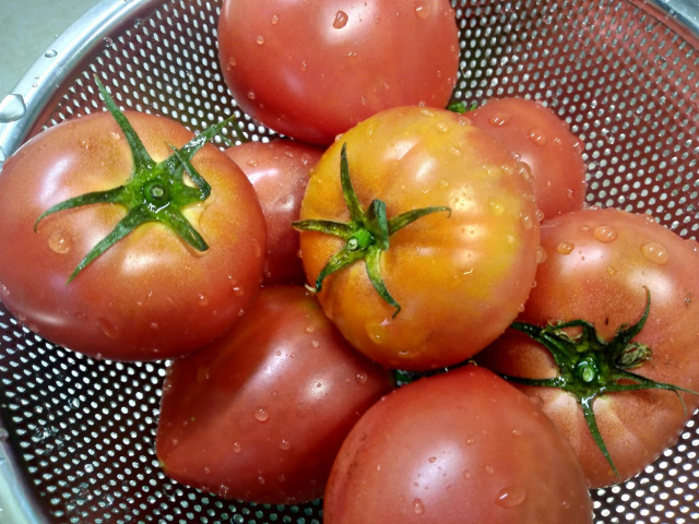 ご近所の農家で購入したみごとなトマト